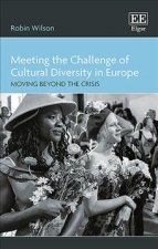 Meeting the Challenge of Cultural Diversity in E - Moving Beyond the Crisis