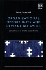 Organizational Opportunity and Deviant Behavior