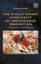 Evolutionary Complexity of Endogenous Innovation
