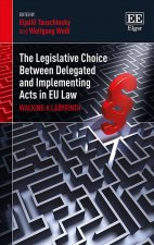 Legislative Choice Between Delegated and Imp - Walking a Labyrinth