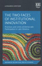 Two Faces of Institutional Innovation