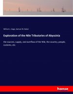 Exploration of the Nile Tributaries of Abyssinia