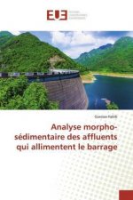 Analyse morpho-sédimentaire des affluents qui allimentent le barrage