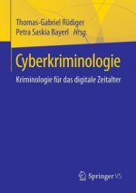 Cyberkriminologie