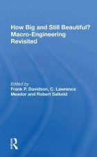 How Big And Still Beautiful?: Macro- Engineering Revisited