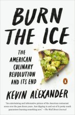 Burn the Ice