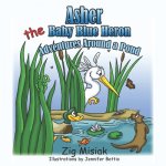 Asher the Baby Blue Heron