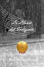 Lluvia del Indigente