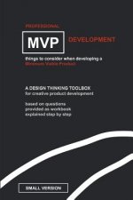 Professional MVP Development (SMALL EDITION): things to consider, developing a minimum viable product.