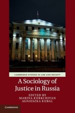 Sociology of Justice in Russia