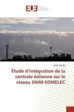 Étude d?intégration de la centrale éolienne sur le réseau SNIM-SOMELEC