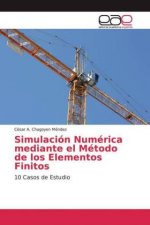 Simulación Numérica mediante el Método de los Elementos Finitos
