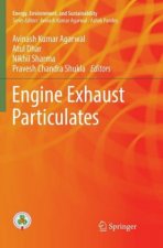 Engine Exhaust Particulates