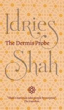 Dermis Probe