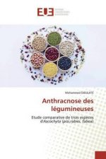 Anthracnose des légumineuses