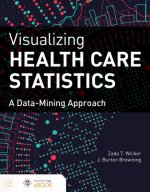Visualizing Health Care Statistics:  A Data-Mining Approach
