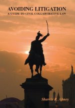 Avoiding Litigation
