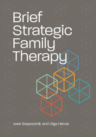 Brief Strategic Family Therapy (Olga Hervis)(Brožovaná)