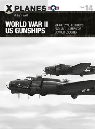 World War II US Gunships