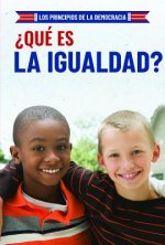 ?qué Es La Igualdad? (What Is Equality?)