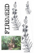 Fireweed #2: A Zine of Grassroots Radical Herbalism and Wild Foods Connecting with Kids and Family Life