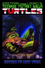 Teenage Mutant Ninja Turtles Color Classics, Volume 3