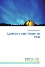 Luminaire pour Acteur de Paix