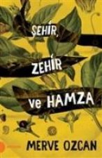 Sehir Zehir ve Hamza