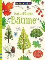 Naturführer: Bäume