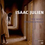 Isaac Julien True North Fantome Afrique