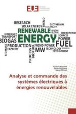 Analyse et commande des syst?mes électriques ? énergies renouvelables