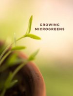Growing microgreens: Garden paper and dot grid paper