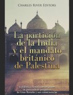 La partición de la India y el mandato británico de Palestina: la polémica historia de los planes de partición de posguerra de Gran Breta?a y sus conse