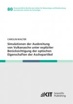 Simulationen der Ausbreitung von Vulkanasche unter expliziter Berücksichtigung der optischen Eigenschaften der Aschepartikel