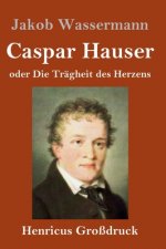 Caspar Hauser oder Die Tragheit des Herzens (Grossdruck)