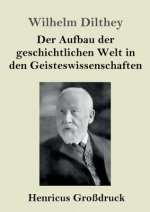 Aufbau der geschichtlichen Welt in den Geisteswissenschaften (Grossdruck)