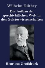 Aufbau der geschichtlichen Welt in den Geisteswissenschaften (Grossdruck)
