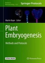 Plant Embryogenesis