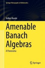 Amenable Banach Algebras
