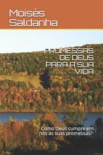 Promessas de Deus Para a Sua Vida: Qual a maneira que Deus cumpre suas promessa em nós?