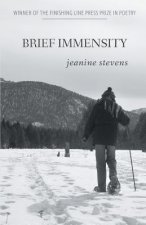 Brief Immensity