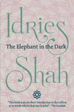 Elephant in the Dark: Christianity,  Islam and the Sufis