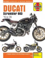 Ducati Scrambler 803 (15 - 20)