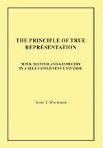 The Principle of True Representation: Mind, Matter and Geometry in a Self-Consistent Universe