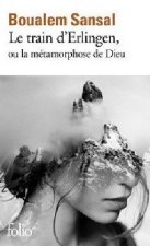 Le train d'Erlingen ou la metamorphose de Dieu