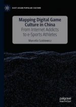Mapping Digital Game Culture in China