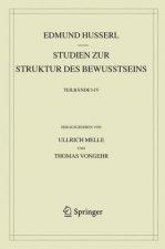 Studien zur Struktur des Bewusstseins, 4 Teile
