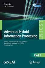 Advanced Hybrid Information Processing