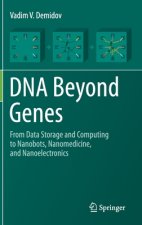 DNA Beyond Genes