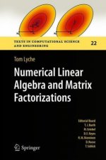 Numerical Linear Algebra and Matrix Factorizations